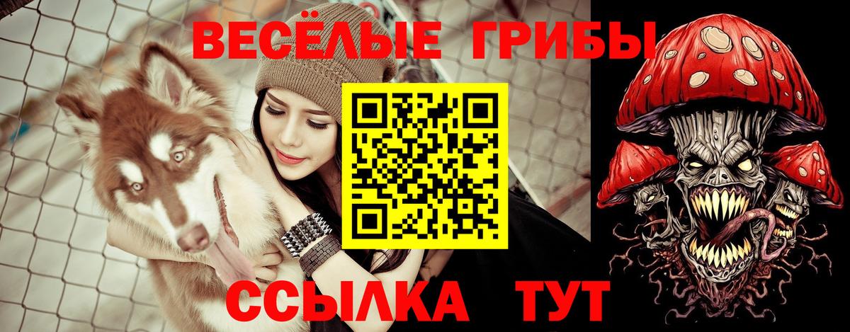 Асбест  Псилоцибиновые грибы Psilocybine cubensis  наркота  Вход с VPN 